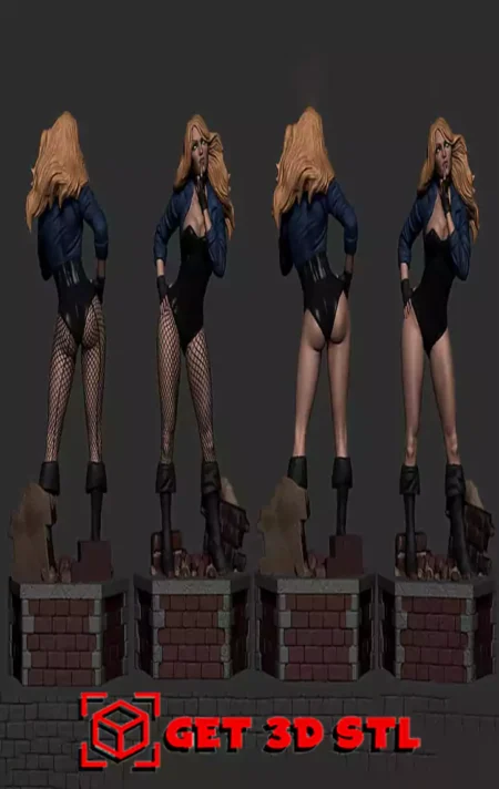 Black Canary STL 3D Print Model