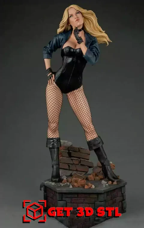 Black Canary STL 3D Print Model